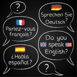 Curso de francés